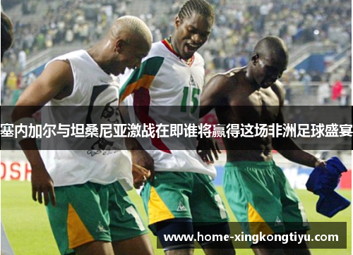 塞内加尔与坦桑尼亚激战在即谁将赢得这场非洲足球盛宴